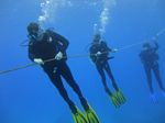 Hawaii Scuba divng 06