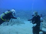 Hawaii Scuba divng 10