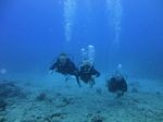 Hawaii Scuba divng 12