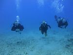 Hawaii Scuba divng 13