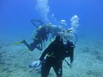 Hawaii Scuba divng 15