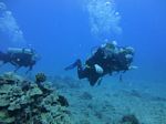 Hawaii Scuba divng 16