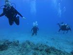 Hawaii Scuba divng 23