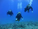 Hawaii Scuba divng 24