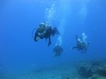 Hawaii Scuba divng 30