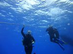 Hawaii Scuba divng 39