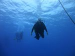 Hawaii Scuba divng 40