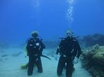 Hawaii Scuba divng 41