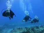 Hawaii Scuba divng 43