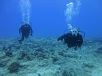 Hawaii Scuba divng 44