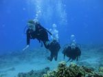 Hawaii Scuba divng 45