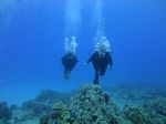 Hawaii Scuba divng 46