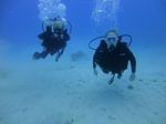 Hawaii Scuba divng 52