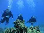 Hawaii Scuba divng 54