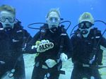 Hawaii Scuba divng 56