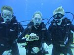 Hawaii Scuba divng 57