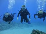 Hawaii Scuba divng 59