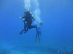 Hawaii Scuba divng 61