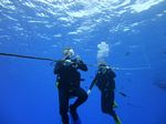 Hawaii Scuba divng 07