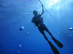 Waikiki scuba 08