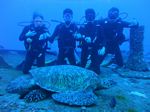 Hawaii Scuba divng 13