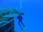 Hawaii Scuba divng 22