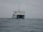 Hawaii Scuba divng 32