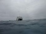 Hawaii Scuba divng 33