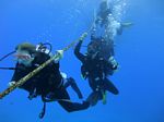 Hawaii Scuba divng 38