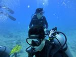 Hawaii Scuba divng 45