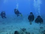 Hawaii Scuba divng 49