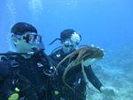 Hawaii Scuba divng 56