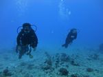 Hawaii Scuba divng 64