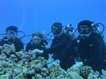 Hawaii Scuba divng 65