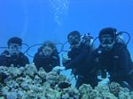 Hawaii Scuba divng 66