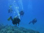 Hawaii Scuba divng 67