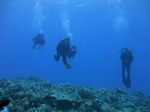 Hawaii Scuba divng 68