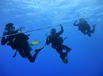 Hawaii Scuba divng 07