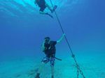 Hawaii Scuba divng 11