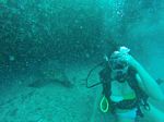 Hawaii Scuba divng 15