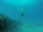 Hawaii Scuba divng 01