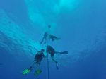 Hawaii Scuba divng 22