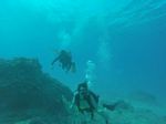 Hawaii Scuba divng 24