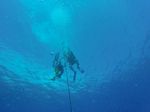 Hawaii Scuba divng 25