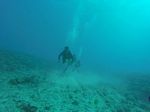 Hawaii Scuba divng 28