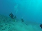 Hawaii Scuba divng 29