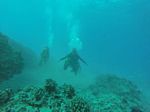 Hawaii Scuba divng 02