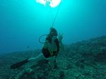 Hawaii Scuba divng 30