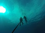 Hawaii Scuba divng 33