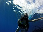 Hawaii Scuba divng 39